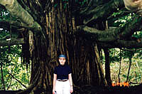 Lesli in front of a Banyan tree