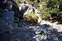 along the Yosemite Falls trail