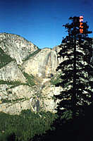 Yosemite Falls viewed from Four Mile trail