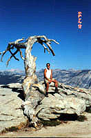 me posing on the tree on top of Sentinel Dome